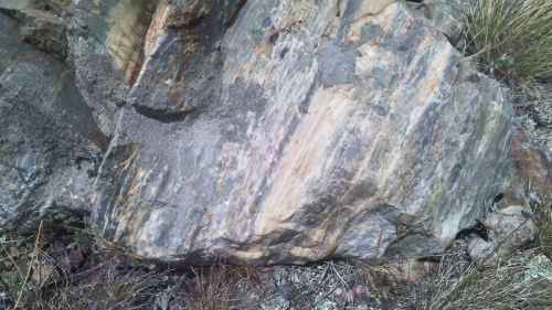 Гигантские зелёные валуны для ландшафтного дизайна весом более 5 тонн купить в Дубне